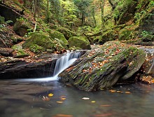 Torrente nel fosso dei Forconali